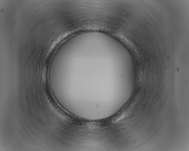 X0000087360064200705181202