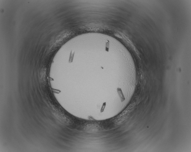 X0000087360066200705181202