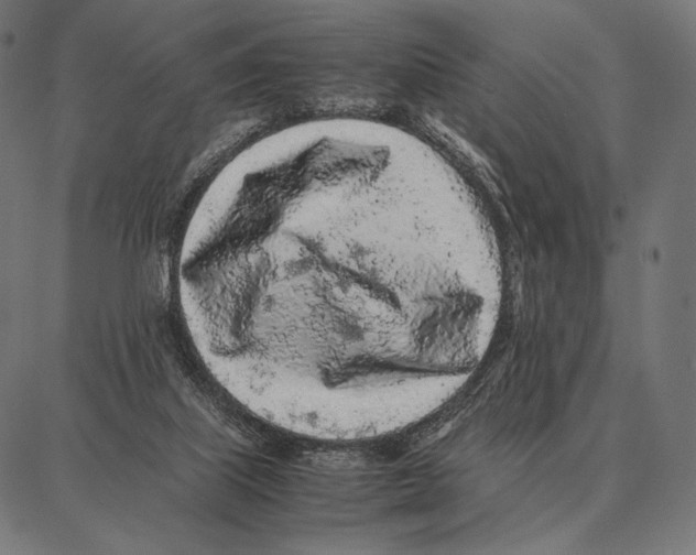 X0000087360067200705181202