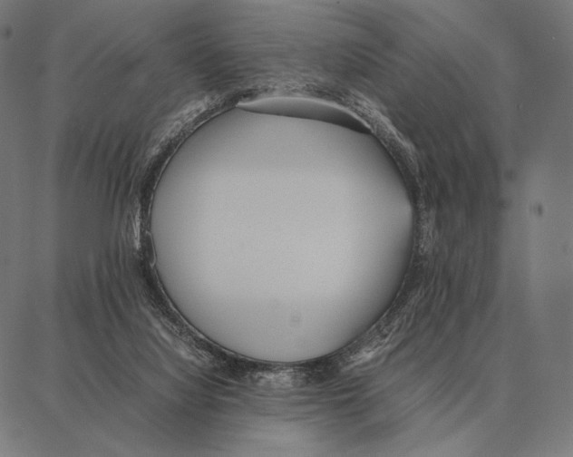 X0000087360068200705181202