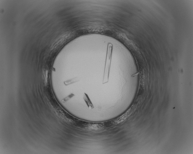 X0000087360070200705181202