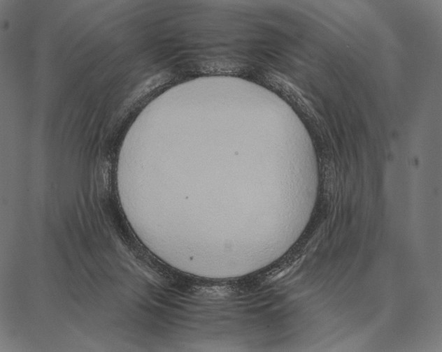 X0000087360071200705181202