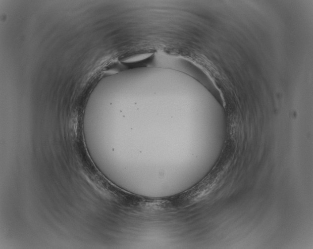 X0000087360072200705181202