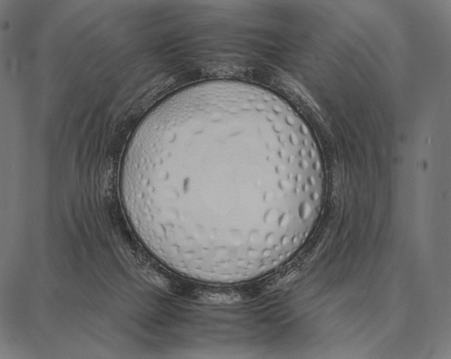 X0000087360073200705181202