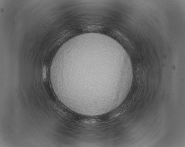 X0000087360075200705181202