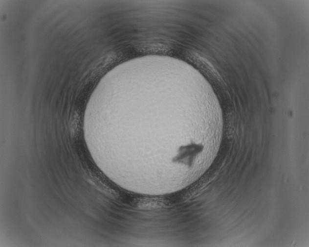 X0000087360077200705181202