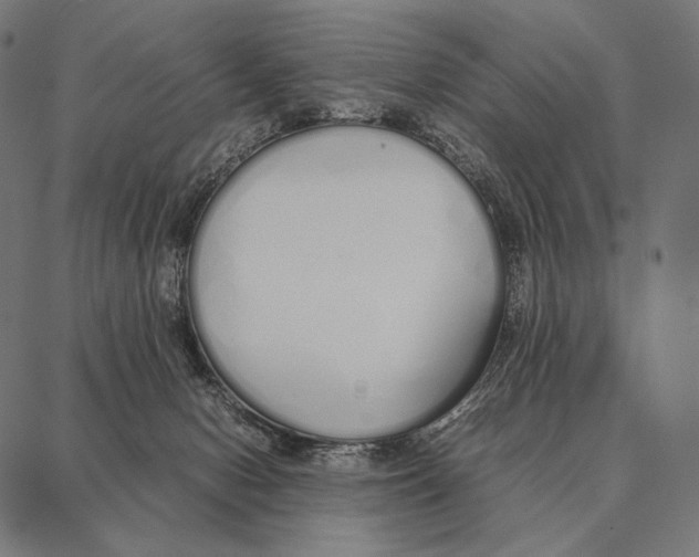 X0000087360078200705181202