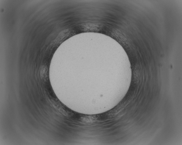 X0000087360079200705181202