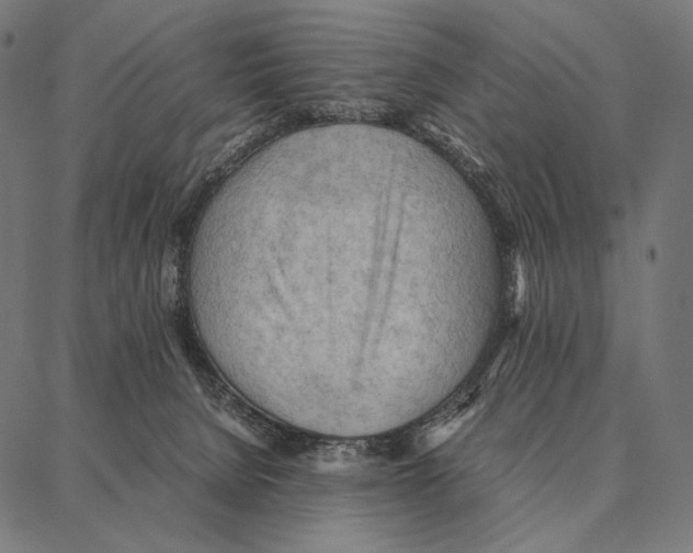 X0000087360080200705181202