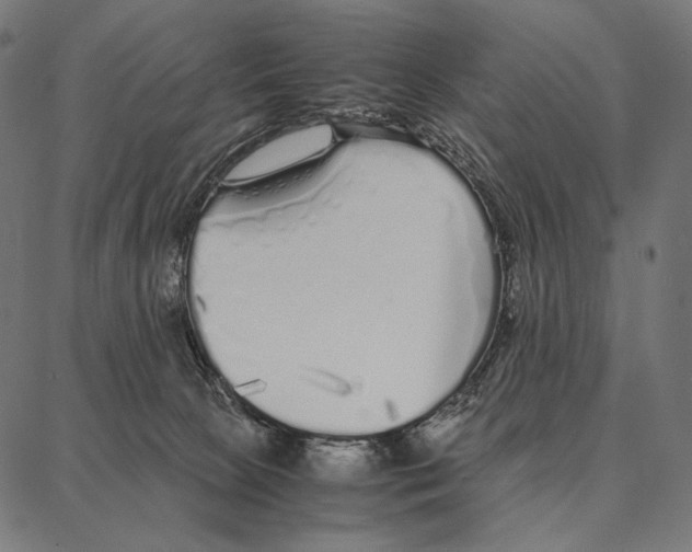 X0000087360081200705181202