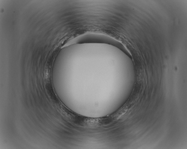 X0000087360084200705181202