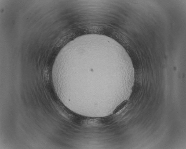 X0000087360086200705181202