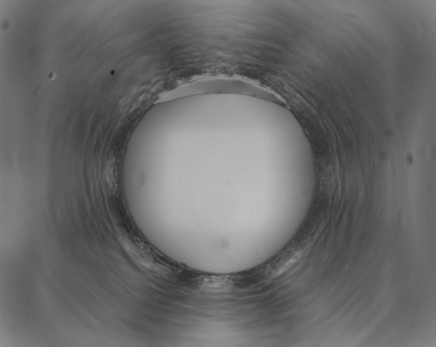 X0000087360088200705181202