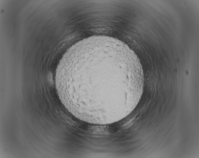 X0000087360089200705181202