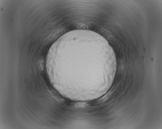 X0000087360090200705181202