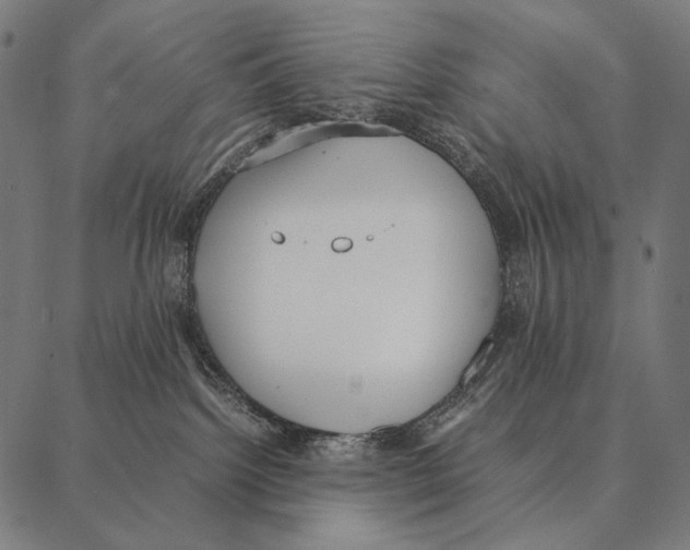 X0000087360092200705181202