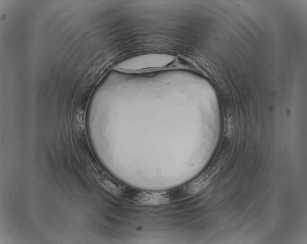 X0000087360093200705181202