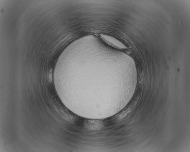 X0000087360095200705181202