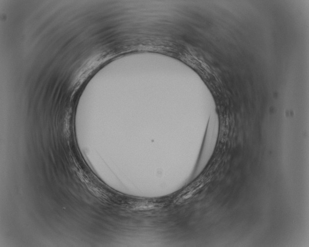 X0000087360098200705181201