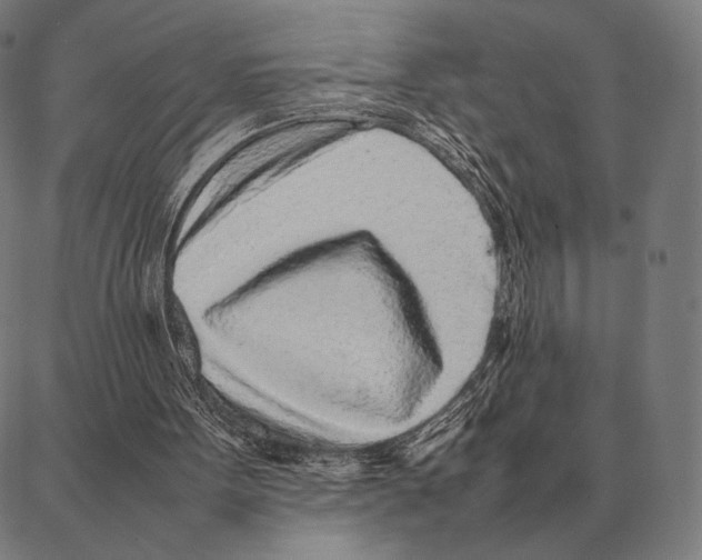 X0000087360099200705181201