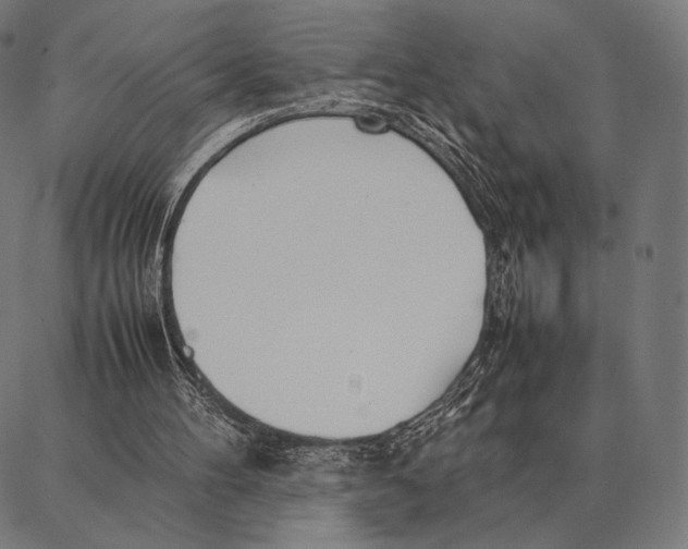 X0000087360100200705181201