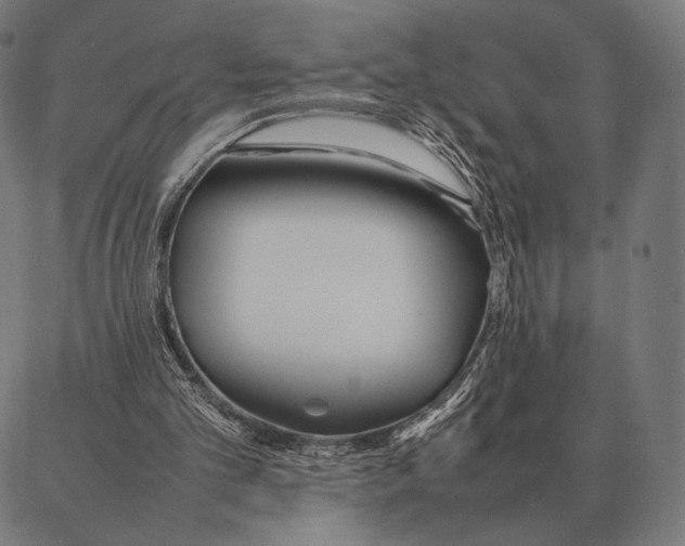 X0000087360101200705181201