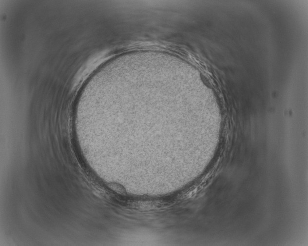 X0000087360103200705181201