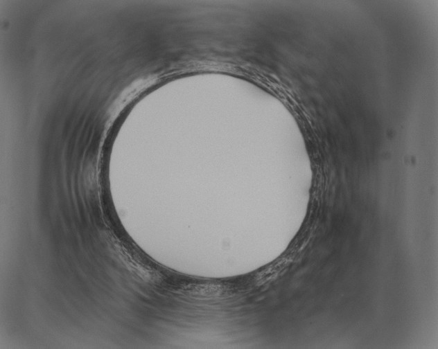 X0000087360104200705181201