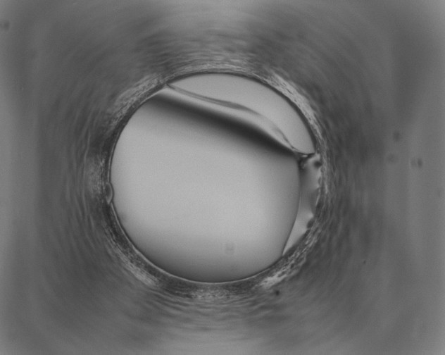 X0000087360105200705181201