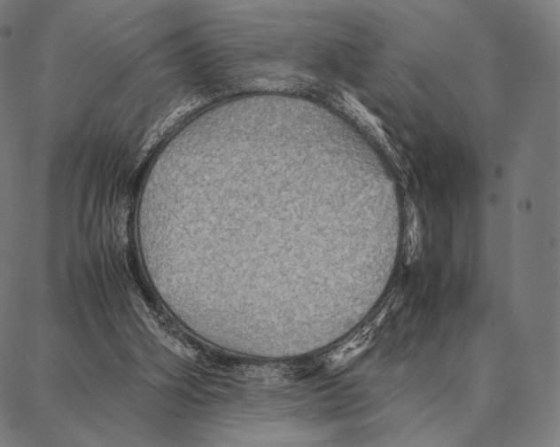 X0000087360106200705181201