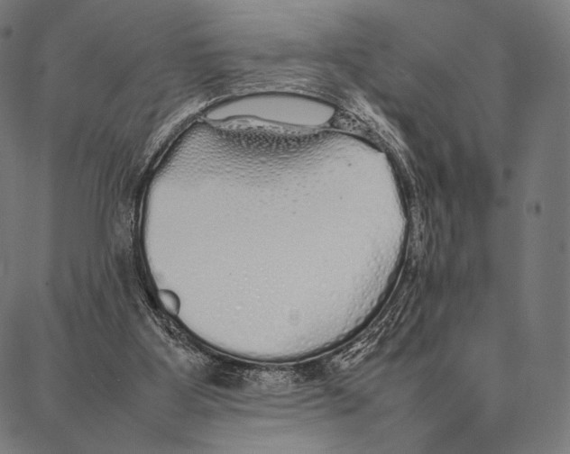 X0000087360107200705181201