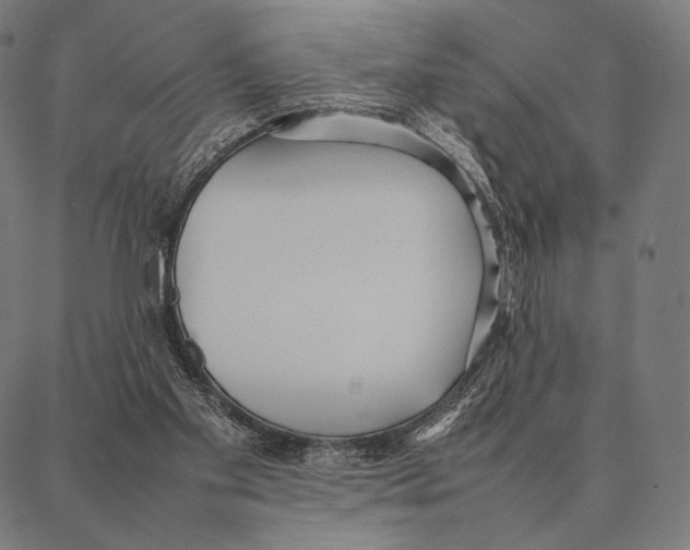 X0000087360109200705181201