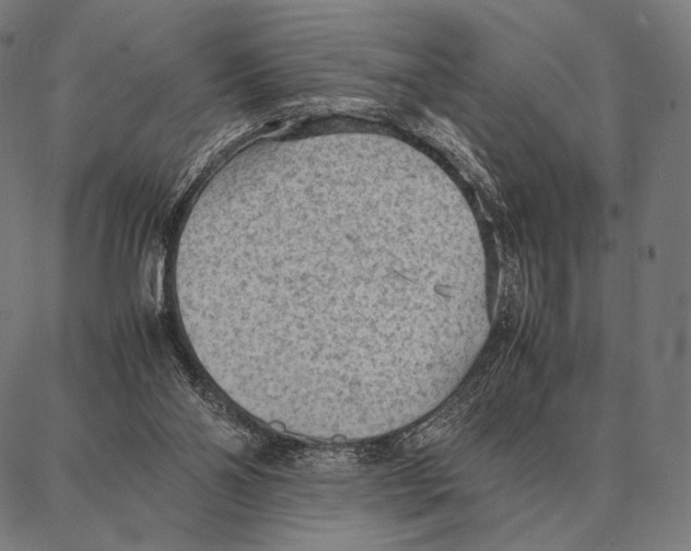 X0000087360110200705181201