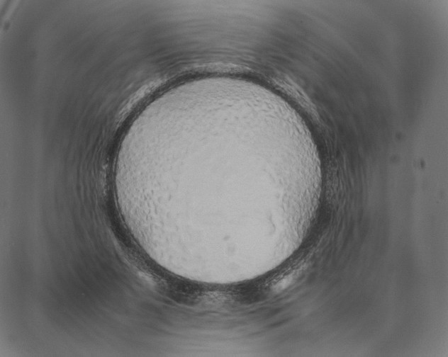 X0000087360111200705181201