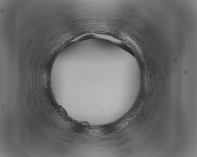 X0000087360113200705181201