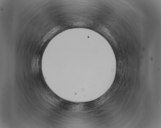 X0000087360116200705181201