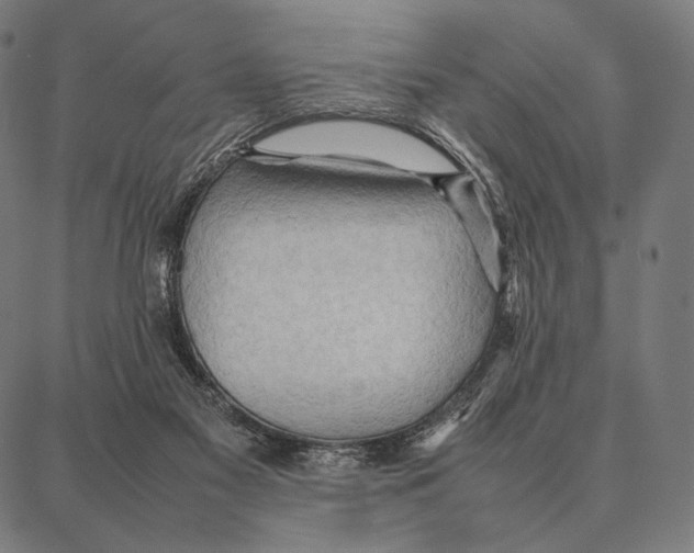 X0000087360117200705181201