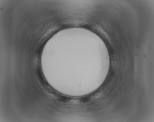 X0000087360119200705181201