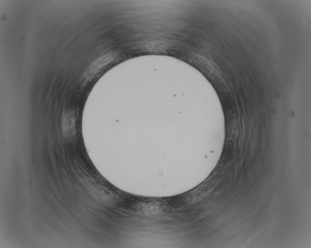 X0000087360120200705181201