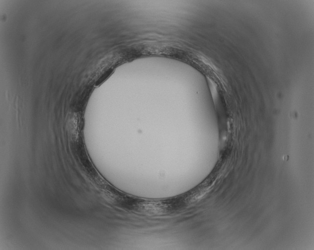 X0000087360121200705181201