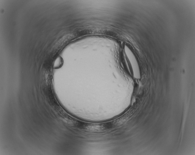 X0000087360123200705181201