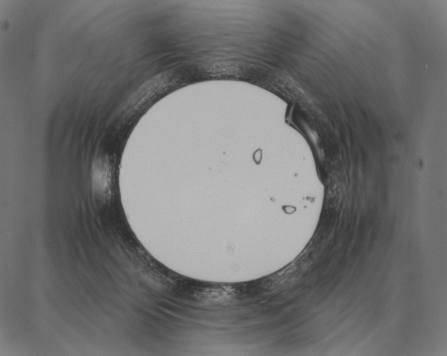 X0000087360124200705181201