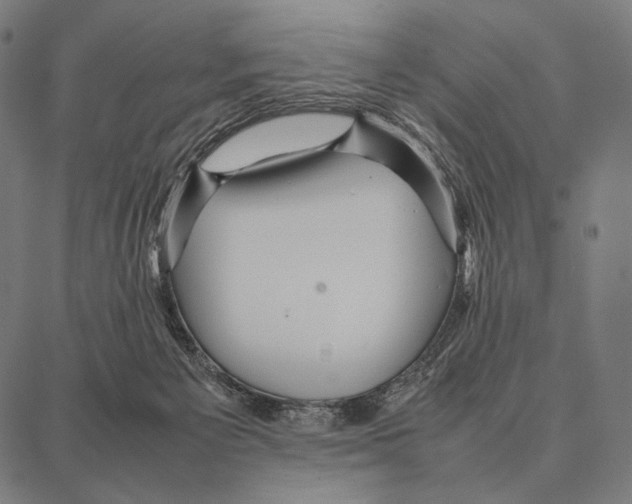 X0000087360125200705181201