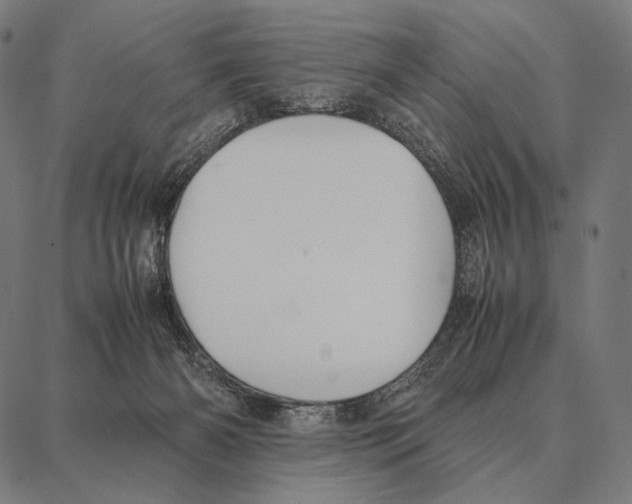 X0000087360126200705181201