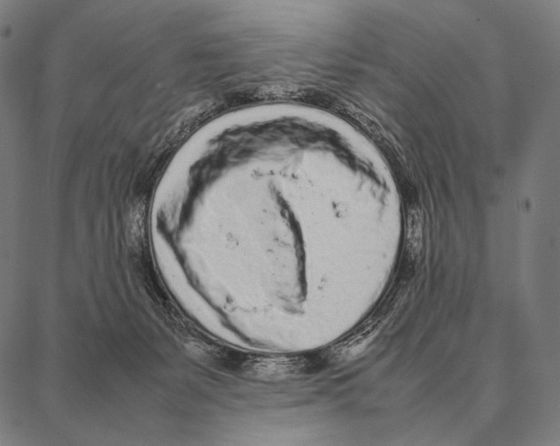 X0000087360127200705181201