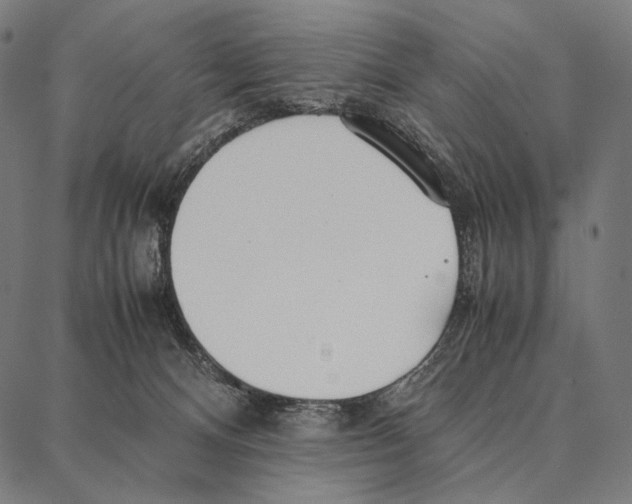 X0000087360128200705181201