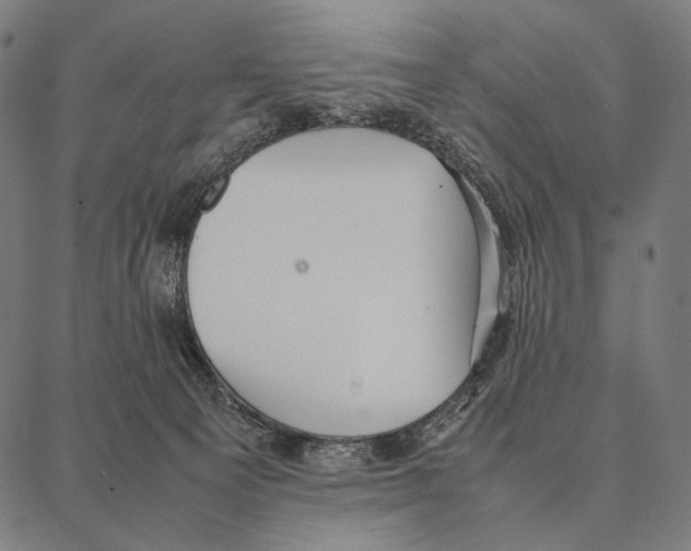 X0000087360129200705181201