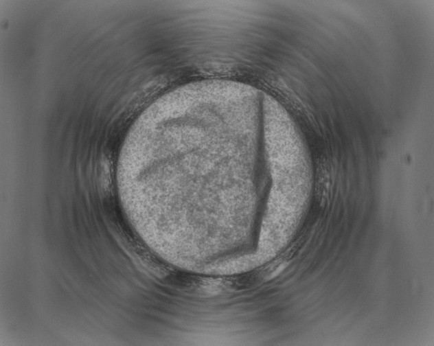 X0000087360130200705181201