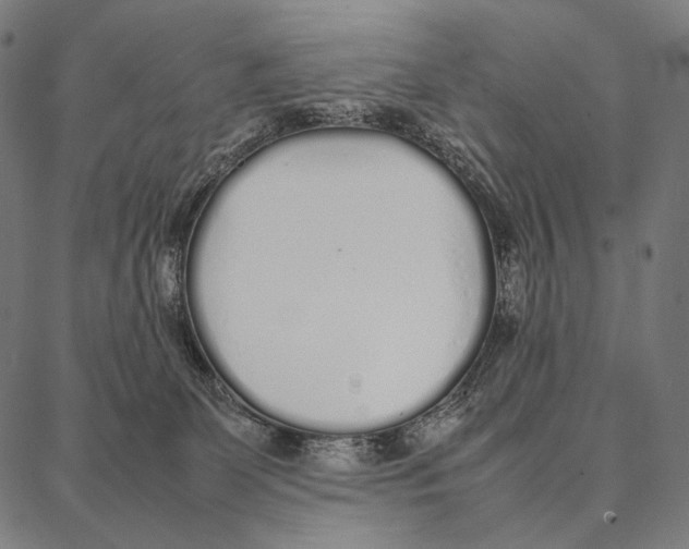 X0000087360131200705181201