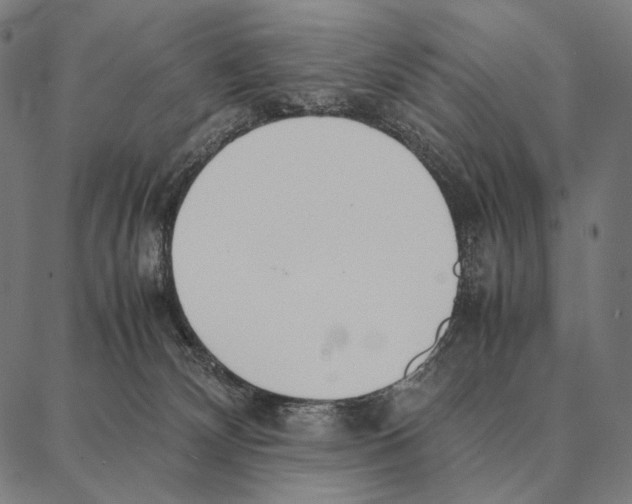 X0000087360132200705181201